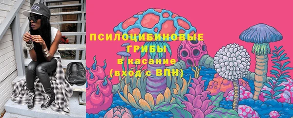 СК Арсеньев
