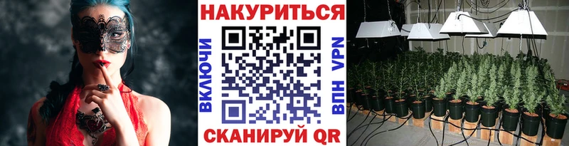 магазин  наркотиков  кракен tor  Канабис марихуана  Новозыбков 